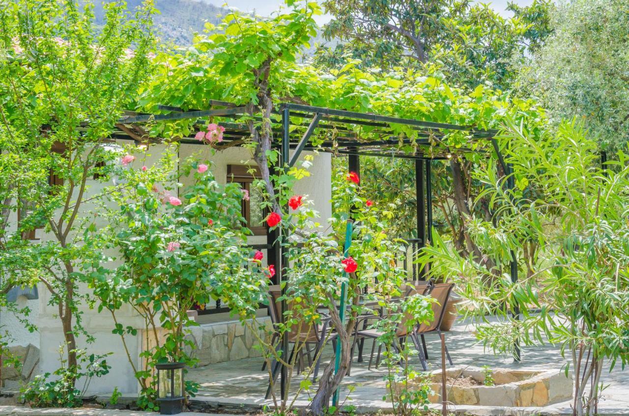 Chrisella Villa Skala Rachoni  ภายนอก รูปภาพ